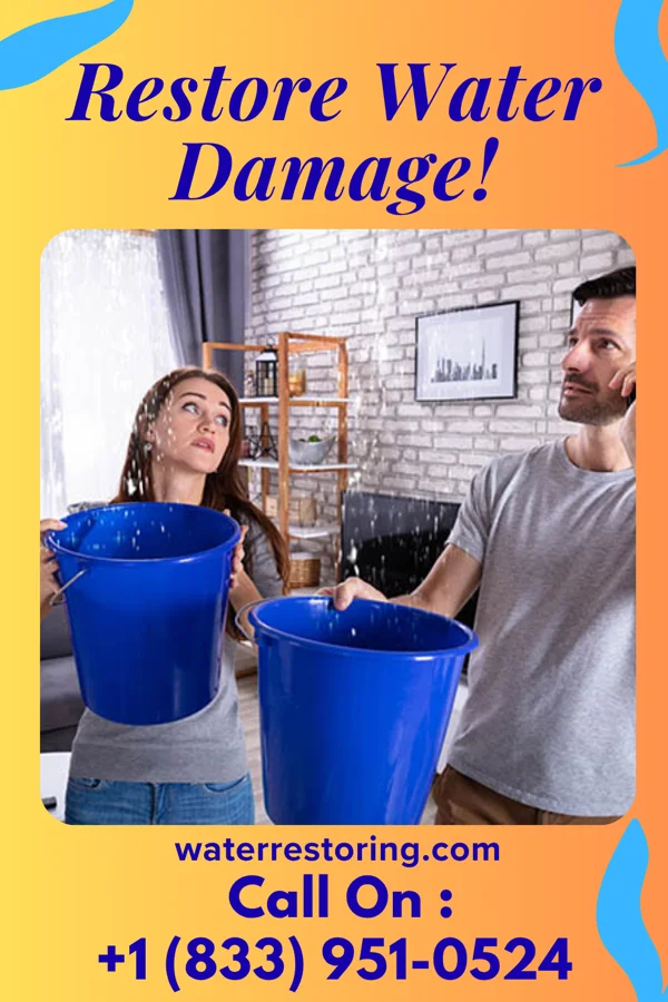 water restoration Patriot Water Solutions Authority Forest Oaks
