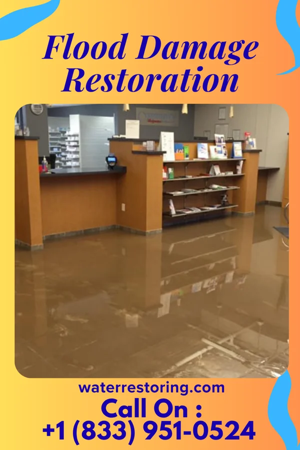 Flood Damage Restoration in Forest Oaks, NC