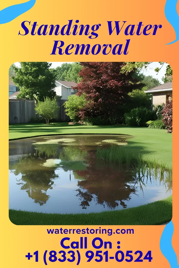 Standing Water Removal in Forest Oaks, NC